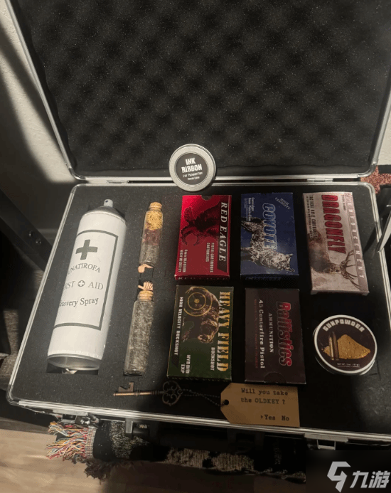 实名羡慕！十年老粉晒超豪华《生化危机》主题房间