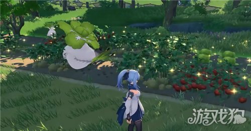 蓝色星原旅谣怎么种菜-2