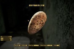 辐射4死亡爪蛋位置一览攻略